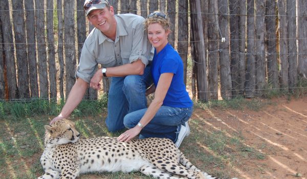 cheetah