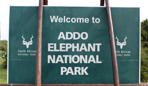 addo elephant park entrance