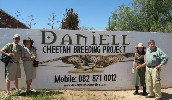 cheetah project